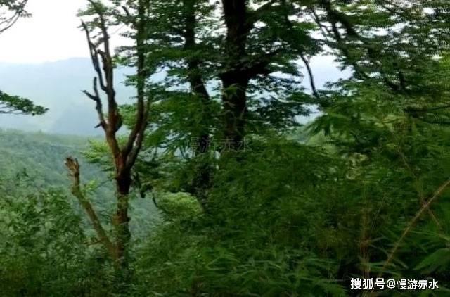 三角形三边关系公式abc是什么？游戏画面